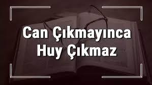 Senin hangi huyunu kabullenen seni kabullenebilir?