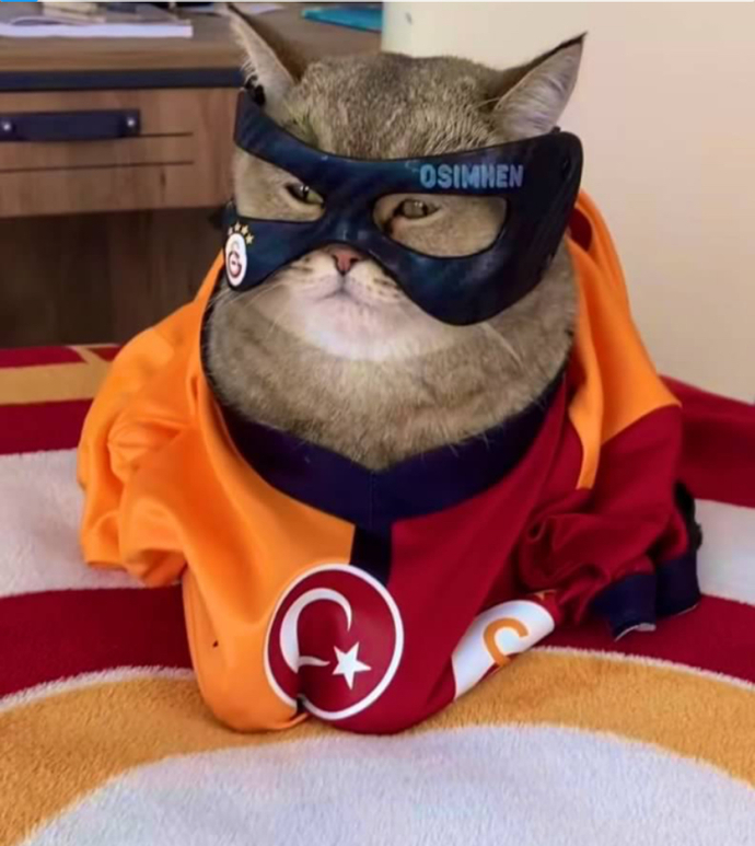 En son hangi manzaraya karşı büyülendiniz?