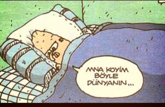 Hayatı sorguluyor musunuz?