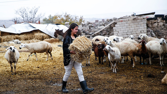 Mesleğim hayvancılık deyince sohbeti bitiriyorlar, benim suçum ne?