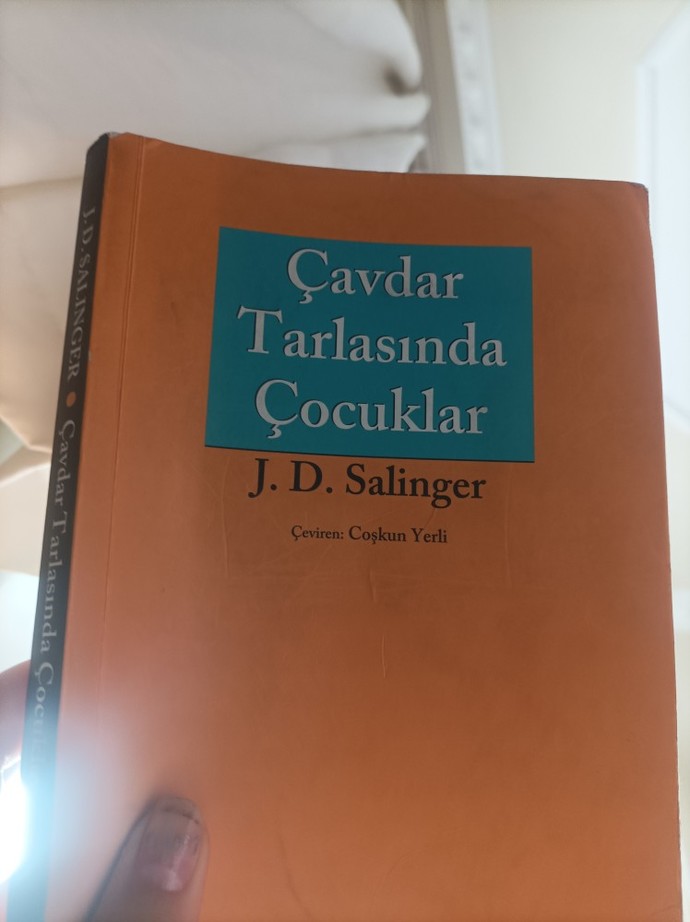 Çavdar tarlasında çocuklar kitabını okudumuzmu?