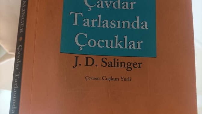 Çavdar tarlasında çocuklar kitabını okudumuzmu?