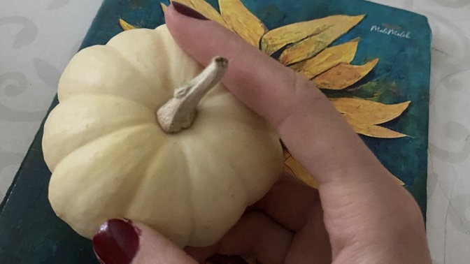 Bu minik kabağı bozulmadan saklayabilir miyim?