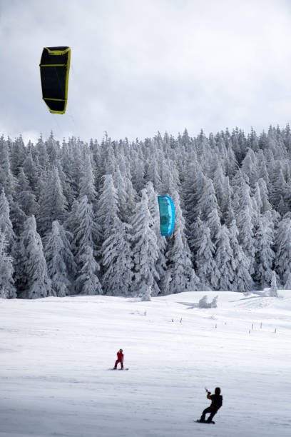 Kış mevsiminde snowboard/ kar sörfü sporunu denediniz mi, denemeyi ister misiniz 🏂🏂?