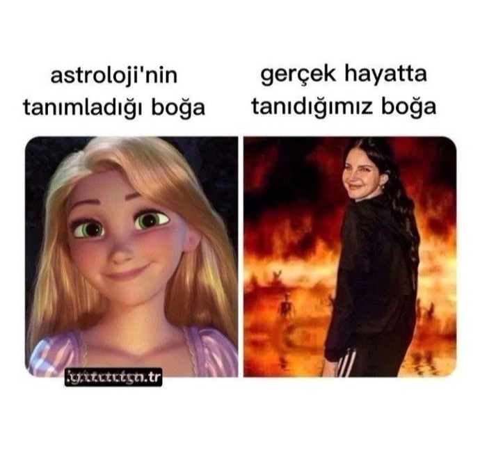 Burçlar ve uyumları doğru mu?