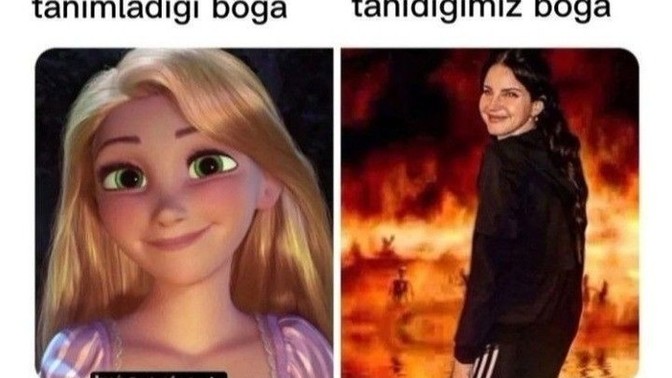 Burçlar ve uyumları doğru mu?