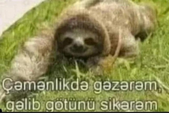 Kızlar, argo șakalar yapan erkeklerden soğur mu?