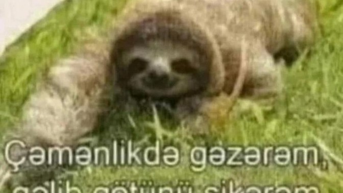 Kızlar, argo șakalar yapan erkeklerden soğur mu?
