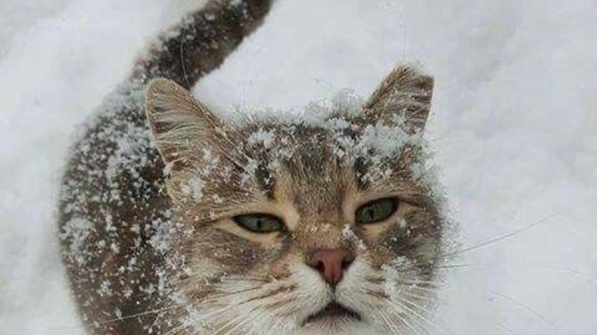 Yaz ne zaman geliyooo?