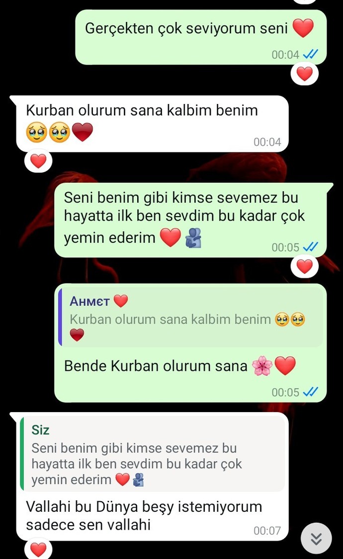 Uzak mesafedeyiz birbirmize olan sevgimiz bu şekilde siz nasıl yorumladiniz?