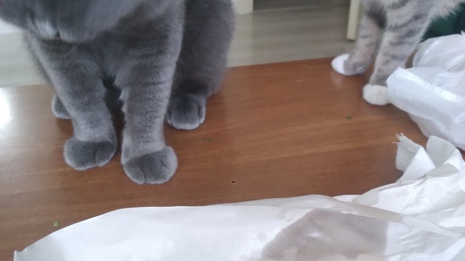 Bir tane döneri kaç kişi yiyorsunuz?