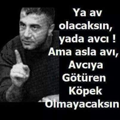 Sizce insanlar neden iki yüzlü davranmayı tercih ediyor bu bir zorunluluk mu, karakter meselesi mi?