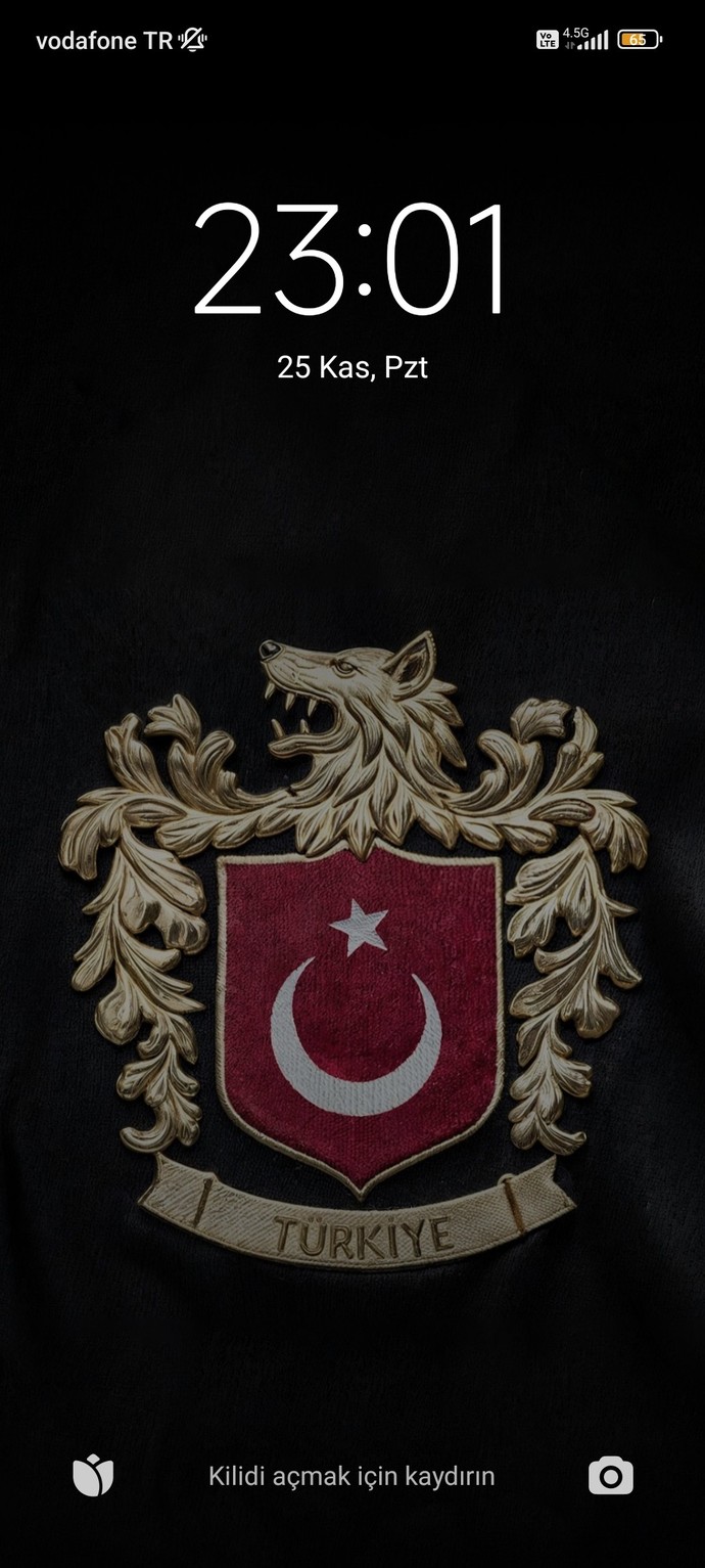 Duvar kağıdınızda ne var?