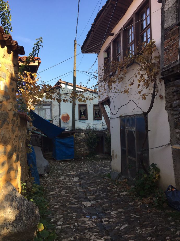 Günaaydinnnnnn Sizce ben nereye gidiyorum?