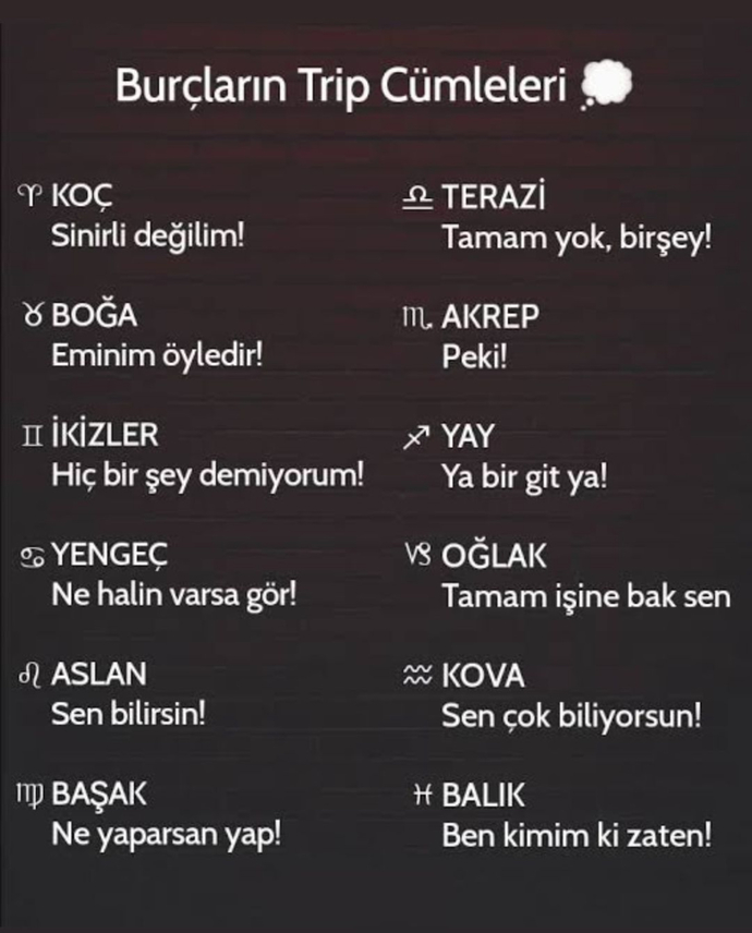 Burçların trip cümleleri nelerdir?