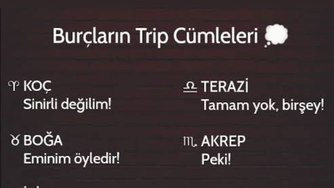Burçların trip cümleleri nelerdir?