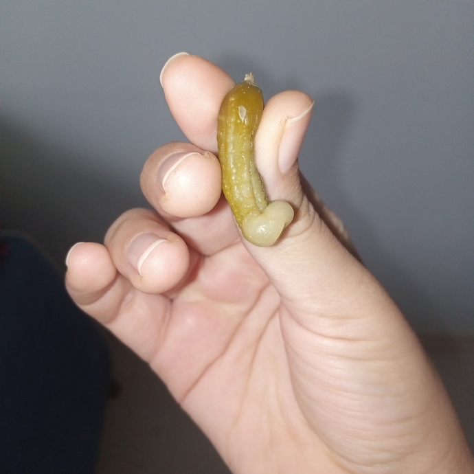Küçük turşu buldum 🤣 bu ne böyle?