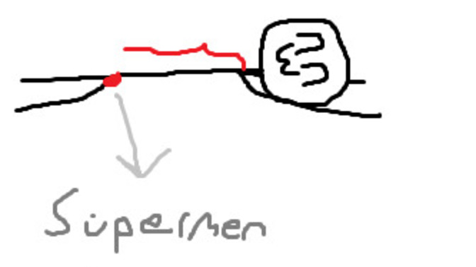 Nasıl bi süper gücünüz olsun isterdiniz?