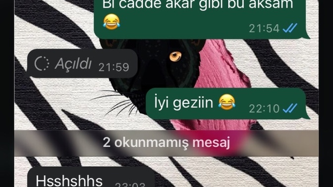 Kiskandigimi belli etmeden umursamaz ne yazabilirim?