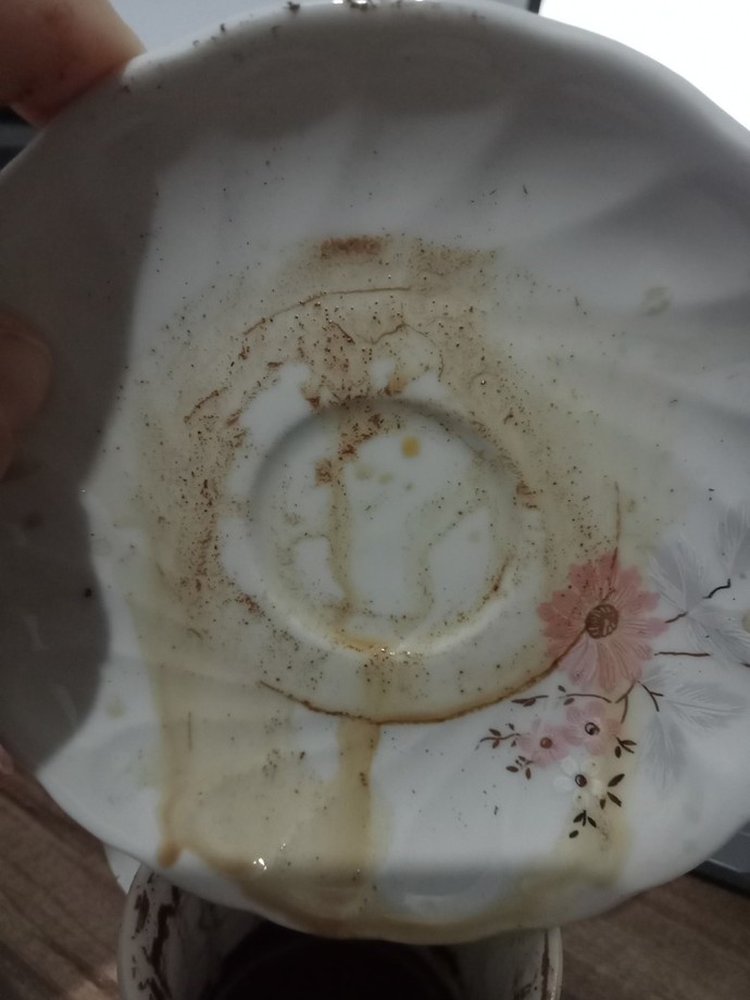 Subgaribana fal bakar mısınız?