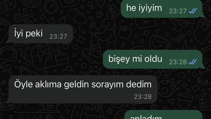 Eski sevgilim terk edip engellemişti dün niye bu mesajı attı ve tekrar engellemiş?