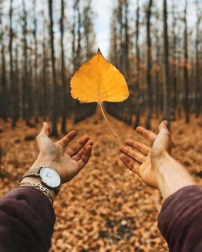 Şu an aşk hayatınızı tanımlayabilecek en iyi mevsim hangisi olurdu?