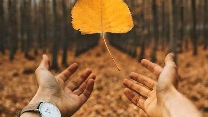 Şu an aşk hayatınızı tanımlayabilecek en iyi mevsim hangisi olurdu?
