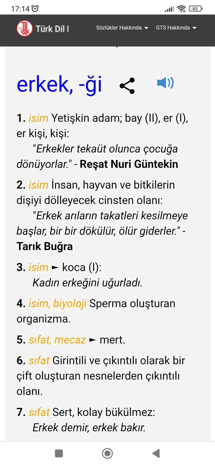 "Erkek" kelimesini karşılayan diğer kelimeler nelerdir?