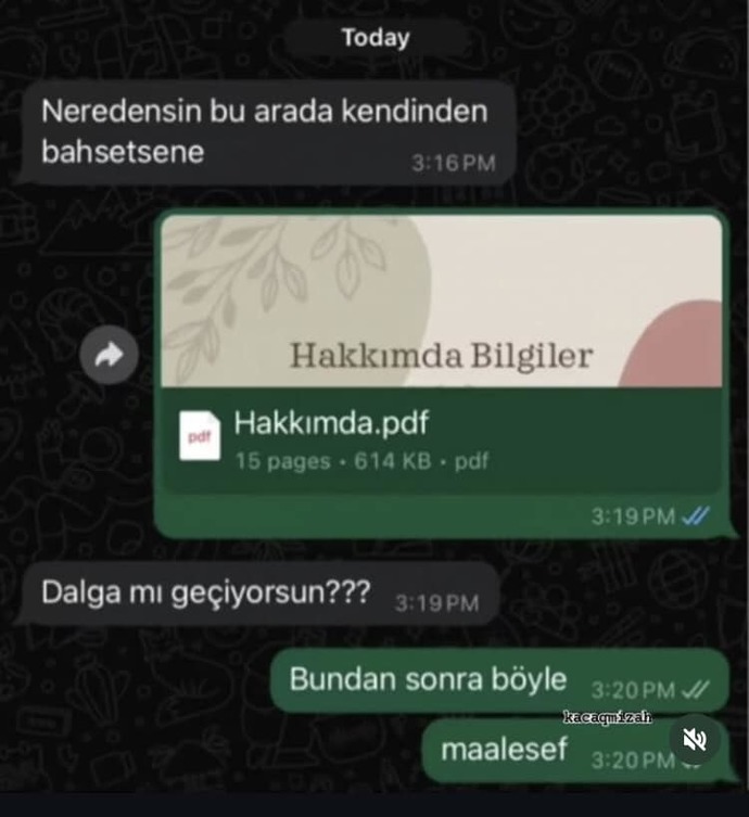 Yeni Tanıştığınız Birisi Kendini Tanıtan Bir PDF Atsa Tepkiniz ne olurdu?