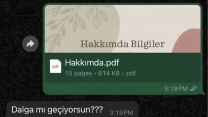 Yeni Tanıştığınız Birisi Kendini Tanıtan Bir PDF Atsa Tepkiniz ne olurdu?