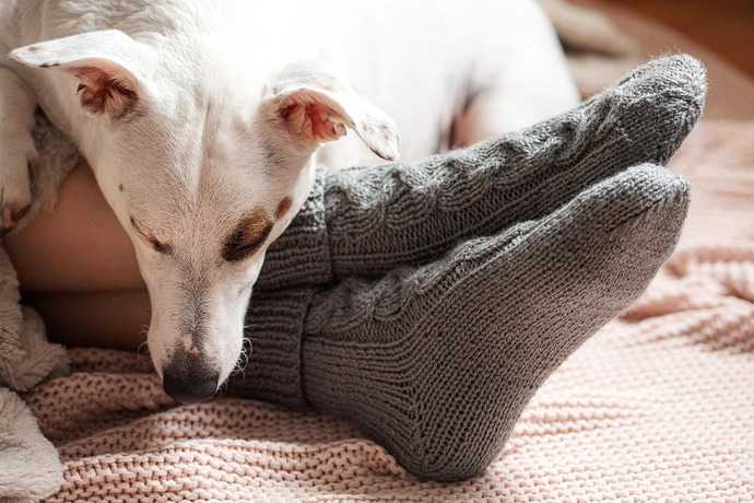 Evdeki köpeğimin patilerinden kaynaklanan zemin lekelerini hızlıca temizlemek için ne önerirsiniz?