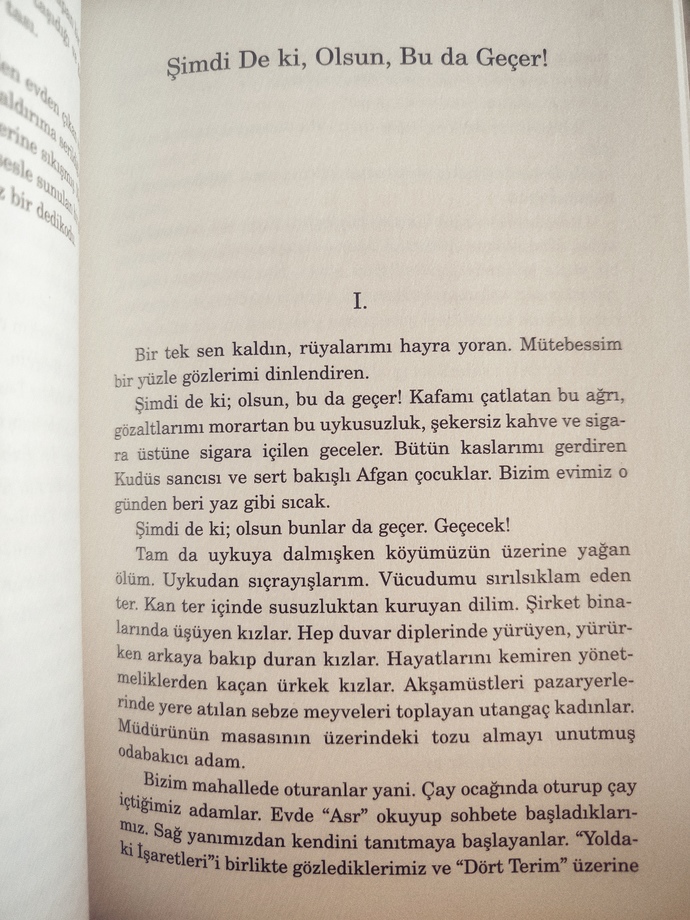 Kraliçenin Pireleri