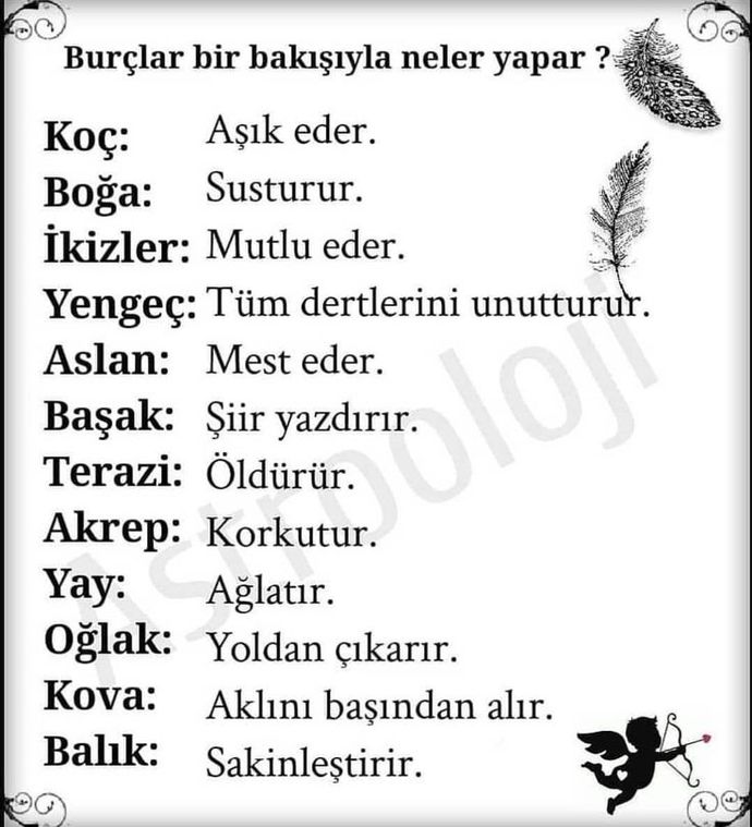 Burçlar bir bakışıyla neler yaptırır?