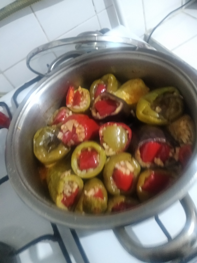 Karışık dolmayı zeytin yağlı mı yoksa etli mi seversininiz?
