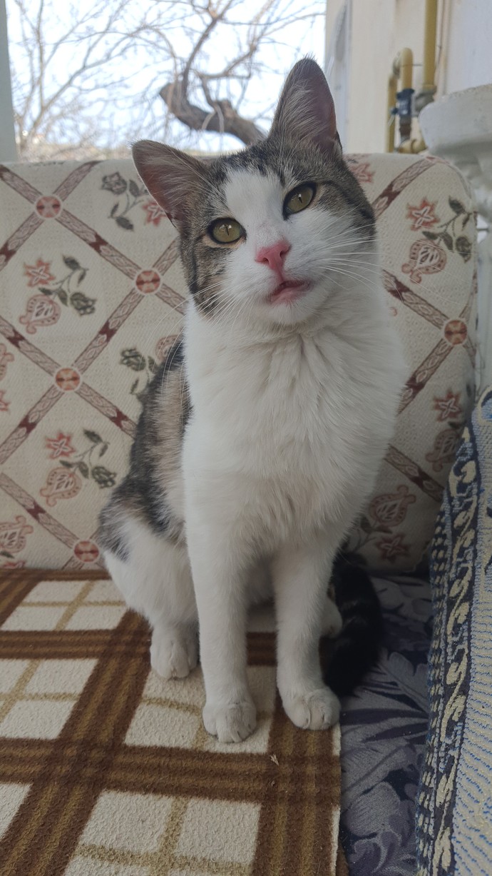 Şu an ne olursa keyfiniz yerine gelir?