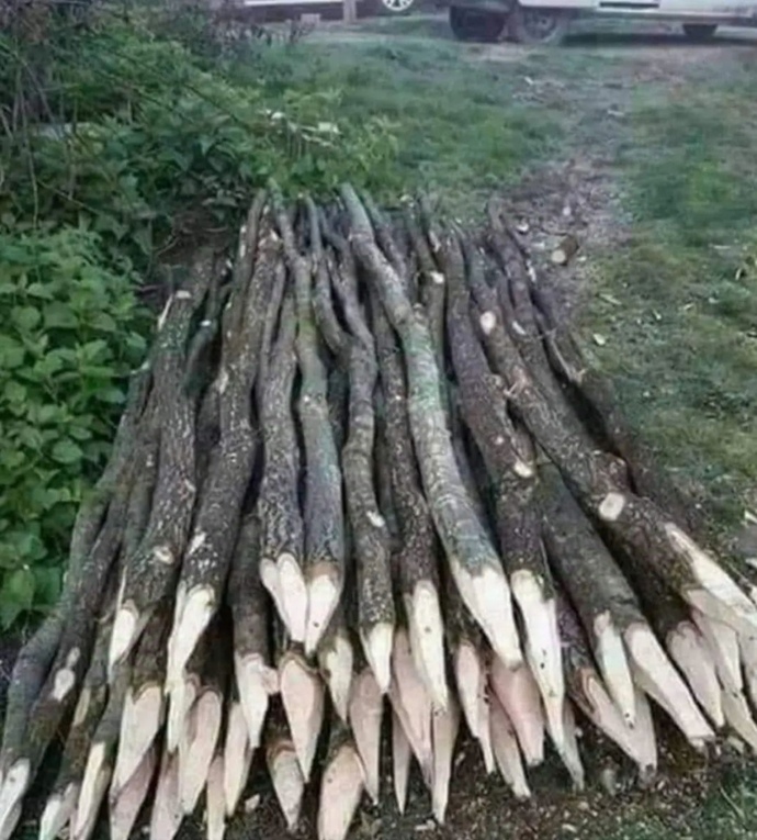 2025 için tüm hazırlıklar aralıksız devam ediyor 🤭🤭🤭 yılbaşına kadar biter mi bu işler sizce?🤭🤭🤭?