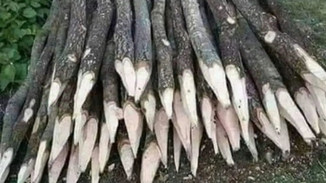 2025 için tüm hazırlıklar aralıksız devam ediyor 🤭🤭🤭 yılbaşına kadar biter mi bu işler sizce?🤭🤭🤭?