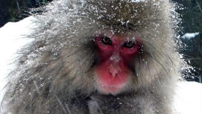 Soğuk havalarda ilk üşüyen yeriniz neresidir 🥶?