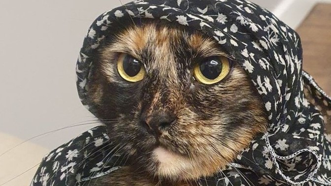 Ne kadar daha yaşamak isterdiniz?