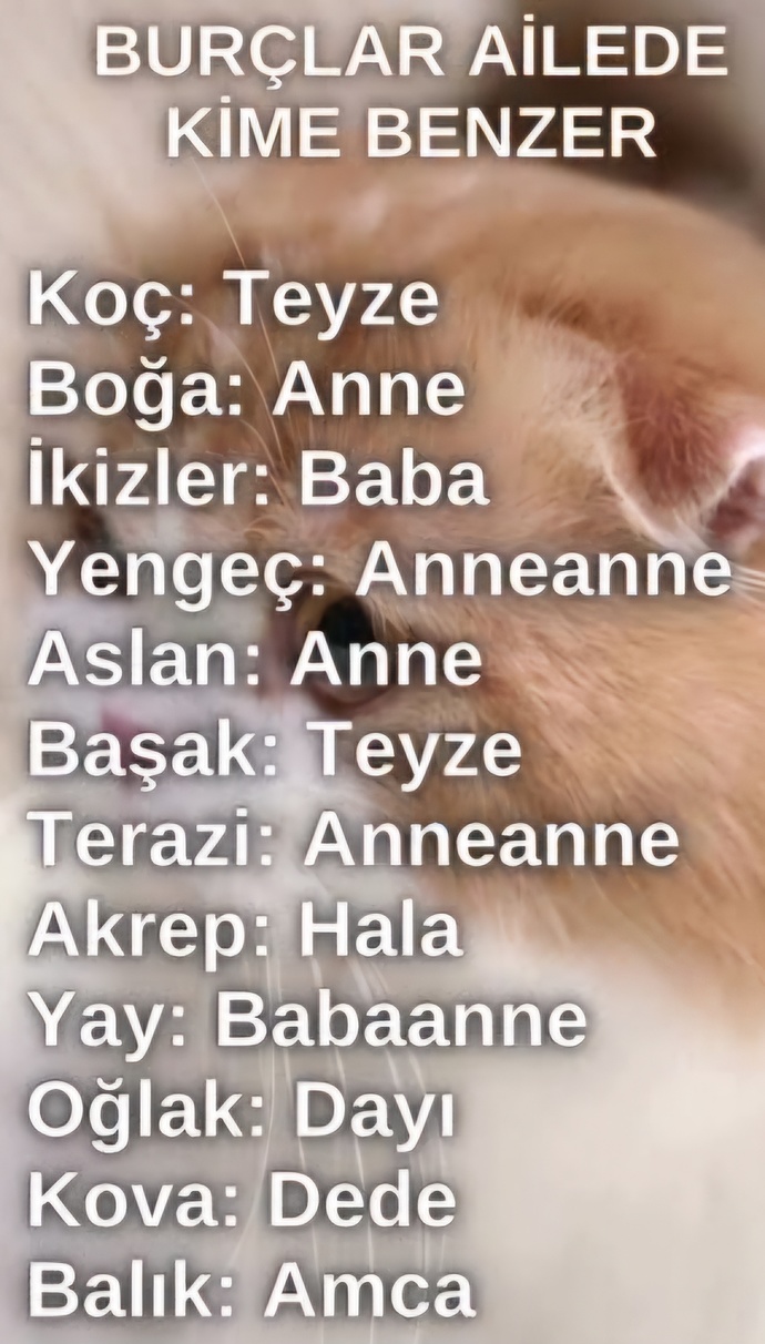 Burçlar ailede kime benzer?