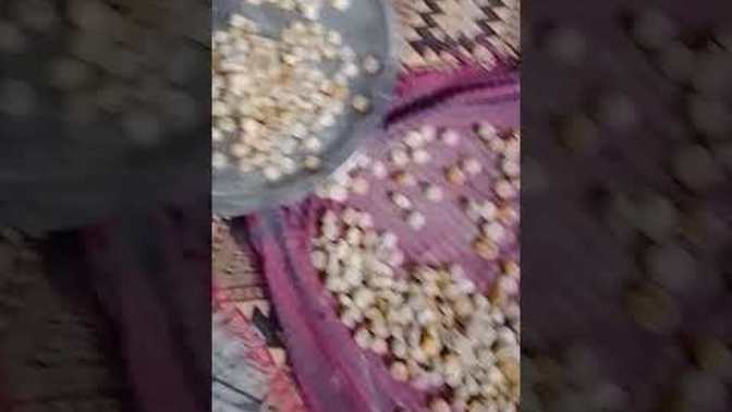 Mantı yapmayı sever misin?