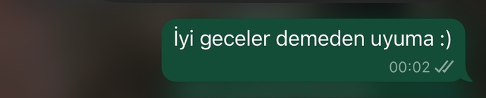 İyi geceler msjı atmadan uyuyan sevgiliden olur mu?