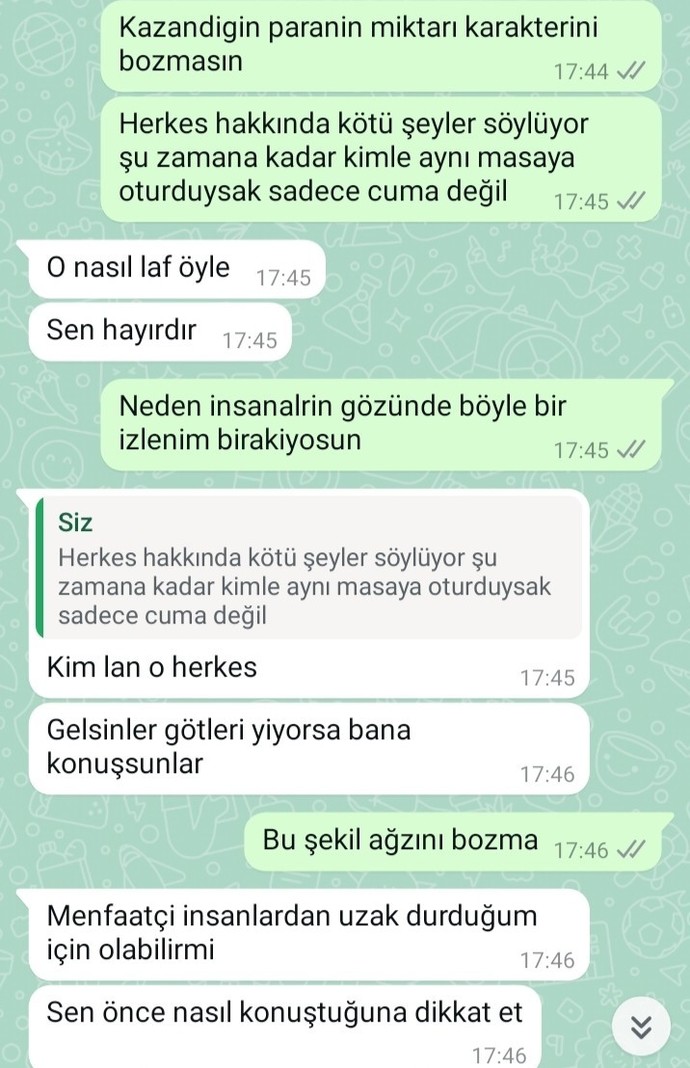 Tam bir ayı değil mi?