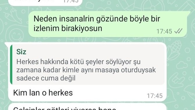 Tam bir ayı değil mi?