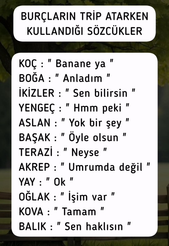Görseldeki burçlardan hangisisin?