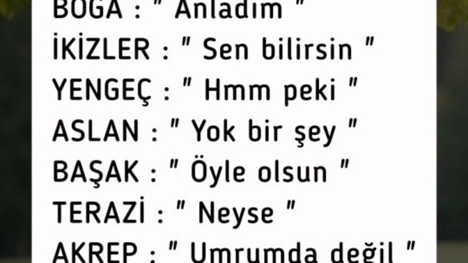 Görseldeki burçlardan hangisisin?