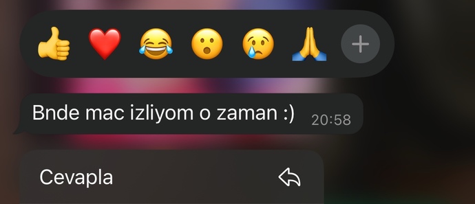 Mesajlaşmak yerine maçı tercih eden erkekten olur mu?
