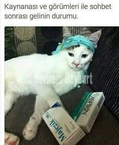 Size iyi gelmeyen neler var?