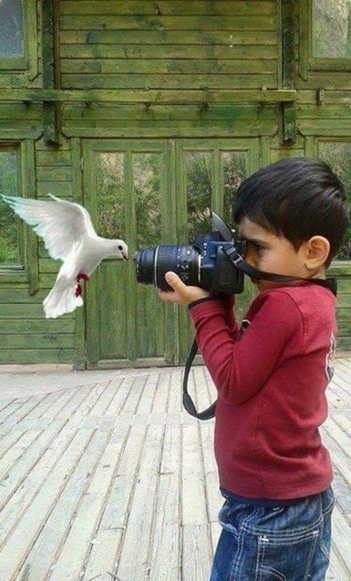 Sanat; sanat için midir, toplum için mi?