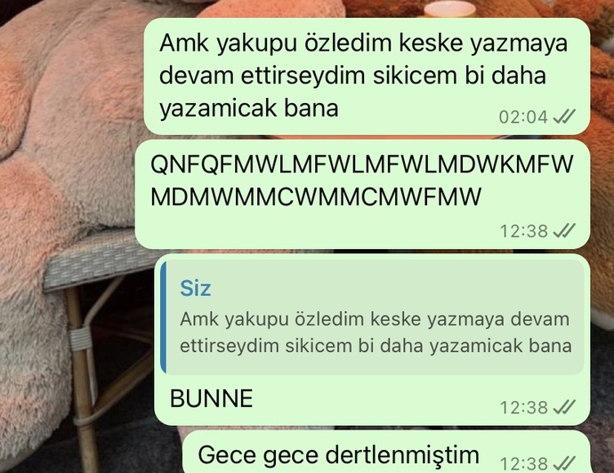 Of ben sanirim hic unutamicam dimi?